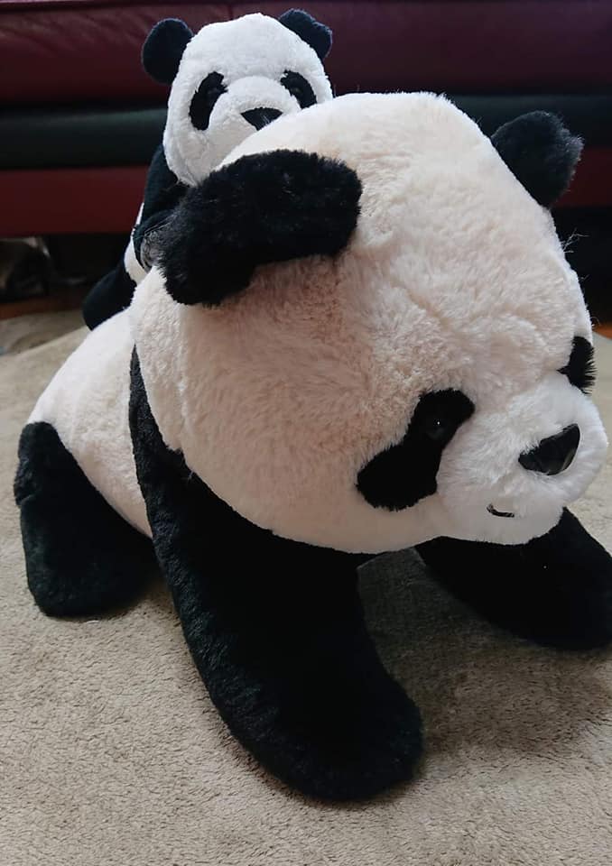 コストコ パンダ ぬいぐるみ 好きに ぬいぐるみ