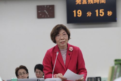 杉並区議会　予算特別委員会　都道補助１３３号線・善福寺川上流地下調節池について質問しました。