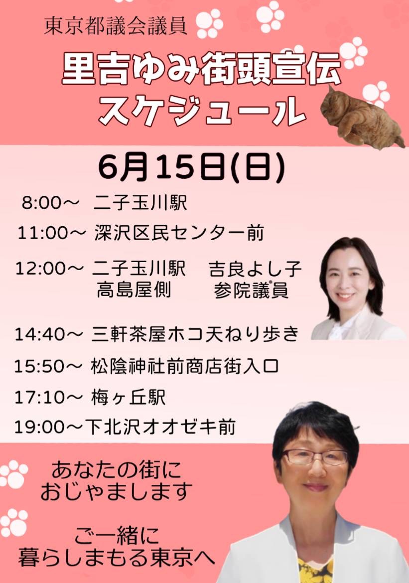 6月15日(日)里吉ゆみ予定／吉良よし子参議院議員12時 | 日本共産党東京