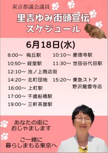 6月18日(水)里吉ゆみ予定