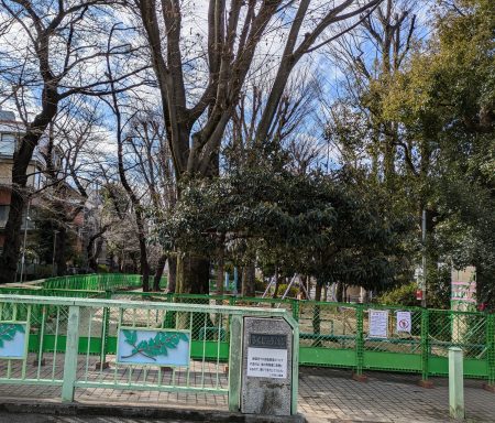 住民無視、巨額税金投入の幡ヶ谷緑道契約に本会議で反対討論　～区議会第１回定例会・・・玉川上水旧水路緑道再整備工事(その３)契約　田中まさや議員が、区政リポート４月25日号を発行ました